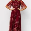 Arabella Embroidered Tulle Maxi Dress | Burgundy Floral